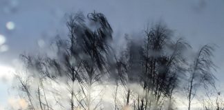 Ostrzeżenie meteorologiczne