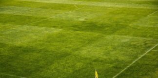 Mundial nie dla Polski – z cyklu „Cotygodnik ekonomiczny”