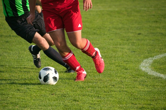planet_fox-soccer-6616821_640
