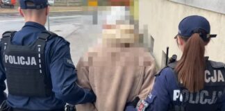 Kradzieże, włamanie i fałszywe tablice. Mieszkaniec Kalisza usłyszał zarzuty